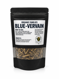 Blue Vervain