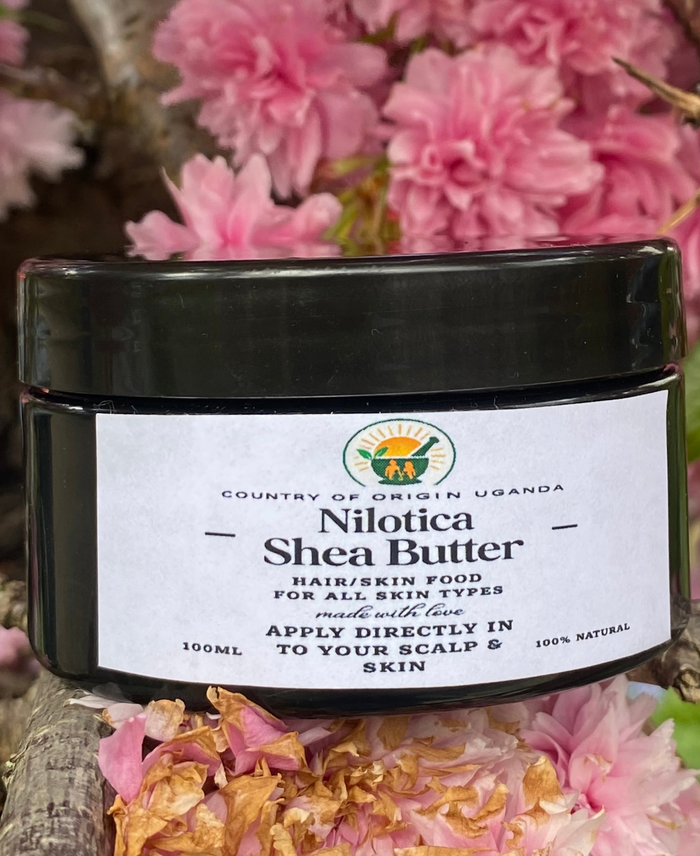 Nilotica Shea Butter
